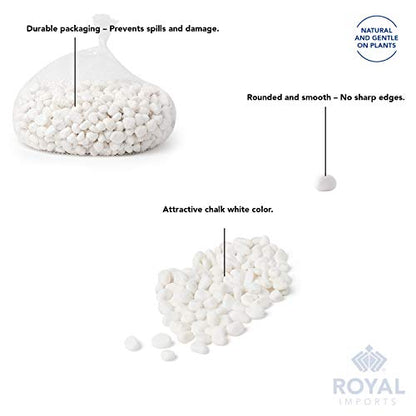 Royal Imports River Rocks, Aquarium Gravel – White 1"- 1.5" - 5 lbs | Decorative Ornamental Vase Filler Pebbles for Potted Plants, Terrariums, Vases, Succulents, Fish Tank Gravel, DIY & Crafting - size: Medium - 5 lbs, style: White
