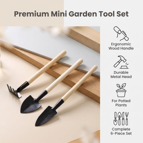 6PCS Garden Hand Tools Set Wooden Handle Mini Shovel Rake | Mini garden hand tools with wooden handles and metal heads for transplanting seedlings and cultivating soil. - color: Mini Small Size 6-Piece Set