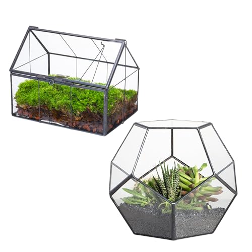 NCYP Mini Glass Terrarium with Lid, and Small Open Pentagon-Shaped Geometric Terrarium Planter, for Small Cactus, Succulents Plants