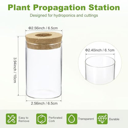 M METERXITY 1 Pack Glass Planter Terrarium with Wooden Cover, Desktop Plant Propagation Station Clear Vase for Hydroponic Plants Propagation/Home Garden Decor/Plant Lover [2.56'' x 3.94''] - size: 2.56'' x 3.94''