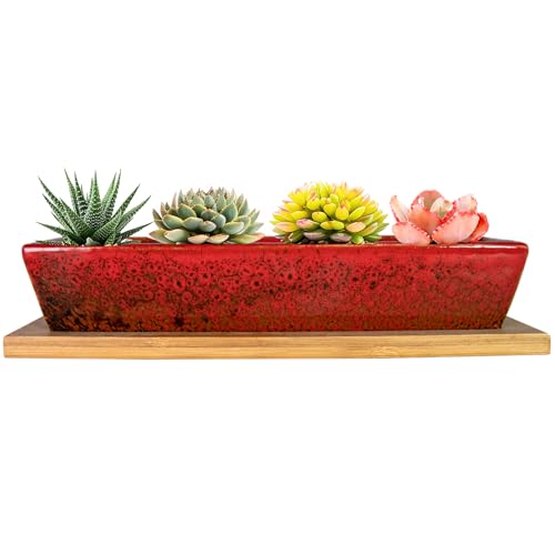 ARTKETTY Succulent Pots, 9.8 Inch Ceramic Succulent Planters with Drainage - color: Red