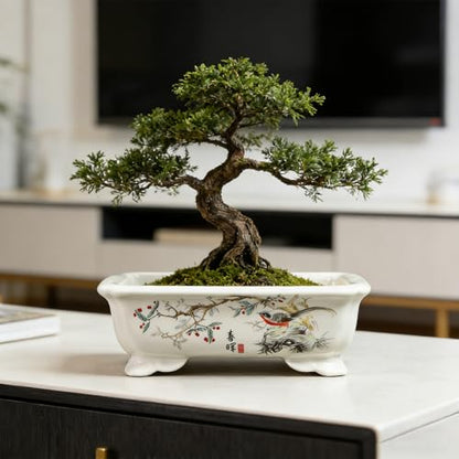 Bonsai Pots with Drainage Tray, 6" Rectangular Chinoiserie Decor - color: White-3