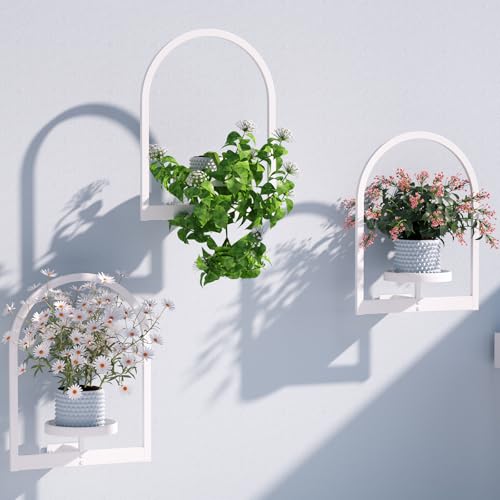 Flenpptly Wall Plant Holder, Wall Planter for Indoor Plants, 3 Pack White - size: 3 Pack-White