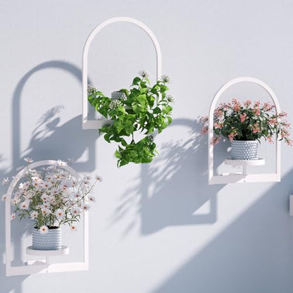Flenpptly Wall Plant Holder, Wall Planter for Indoor Plants, 3 Pack White - size: 3 Pack-White