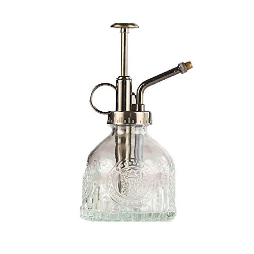 Plant Mister Glass Spray Bottle Small Plant Watering Can 6.4" Tall Retro Indoor Watering Can Bronze Plastic Top Pump for Garden Indoor Plant Sprayer (Transparent) - color: Transparent