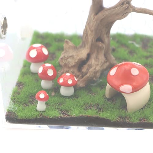 5 Pack Jumping Spider Habitat Decor with Mushroom Hide - Resin Spider Accessories and Enclosure Accessories - color: Mushroom Hideout
