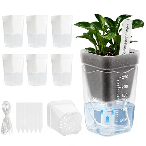 6 Pack 2.5" Self Watering Seed Starter Cups, Clear Mini Planters for Indoor Plants, Help Prevent Overwatering, Promote Healthy Growth for Seedlings, Cuttings & Small Plants, with 6 Labels - color: 6pcs