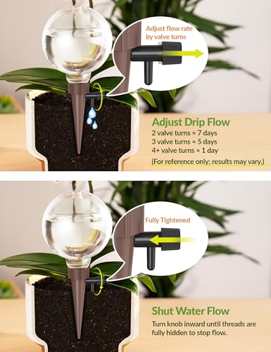 NiHome Plant Self-Watering Globes for Busy Individuals & Travelers, Long-Lasting Moisture Consistent Dripper Spike for Indoor Plants, Adjustable Flow Valve Easy to Refill & Maintain (4-Pack) - color: Clear-4-Pack