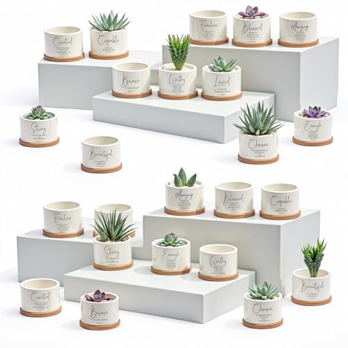 Fumete 24 Set Christian Religious Gift Bulk Bible Verse Succulent Pots with Tray Drainage, 12 Scripture Quote, 3x2 in Mini Ceramic Flower Planter for Home Church Pastor Appreciation Gift (Affirmation) - style: Affirmation