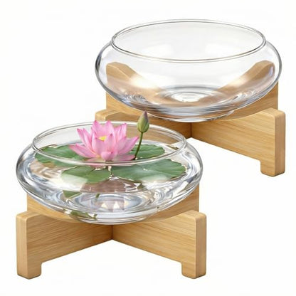 Baderke 2 Pcs Lotus Bowl Planter with Base 5.9 inch Glass Hydroponic Planter Water Lily Bowl for Planting Aquatic and Indoor Plants Clear Terrarium Household Basin Decor