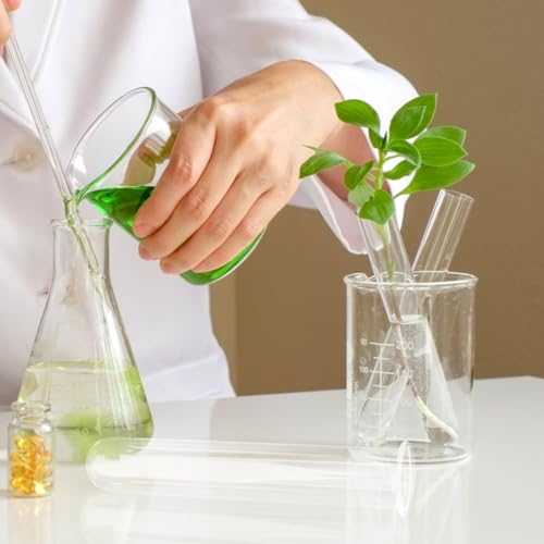 4 Pcs Glass Test Tube Vases for Flowers,5.9 x 1.18 Inch Hydroponic Propagation Tubes Plant Terrarium for Home Office Cafes Flower Shop Desktop Decoration