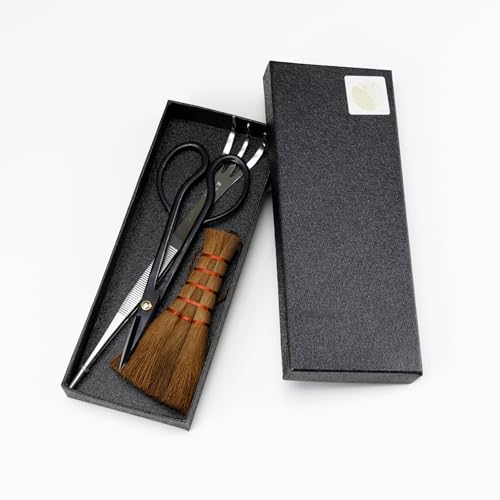 Hanafubuki Wazakura Japanese Bonsai Garden Tool Starter Kit, Made in Japan, Satsuki Scissors, Stainless Tweezers with Rake, Chinese Broom - 3 PCS Set