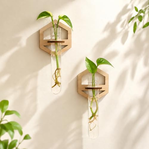 Artilady Plant Propagation Station, Hexagon Wood Hanging Terrarium Tube - color: Wood Hexagon