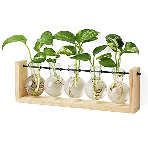 Mkono Plant Propagation Station Wall Desktop Beige Wood Stand 5 Vase Holder - color: Beige, size: Large