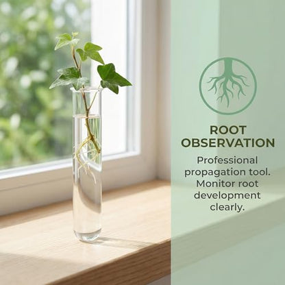 Homoyoyo 6 Pack Clear Glass Test Tube Vases 5.90 inch Hydroponic Plant Propagation Tubes for Water Cuttings Flower Arranging Desk Home and Office Decor