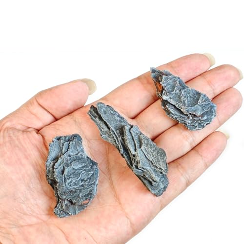 Kai Dream Miniature Stones for Terrarium - Tree Bark Diorama Rocks for Miniature Terrain Display - Lightweight Reptile Habitat Decor - NOT for Aquarium Underwater Use - 12 Pcs Slate Stone (1-2 inch) - style: 12P Wooden Slate Rocks