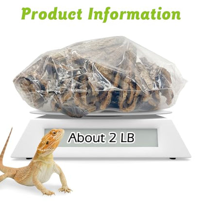 Reptile Cork Bark with Reptile Terrarium Acrylic Tarantula Breeding Box Magnetic Hermit Crab Habitat Tank Transparent Jumping Spider Cage for Insect Snail Amphibians Sling Isopods