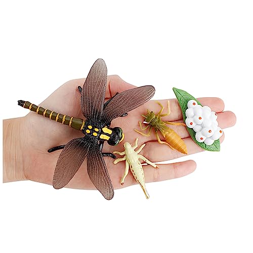 Montessori Life Cycle Animal Plastic Insect Figurines Learning & Education Toys for Kids, Preschool Activities (Dragonfly Mantis Cicada Bumblebee) - color: Dragonfly Mantis Cicada Bumblebee