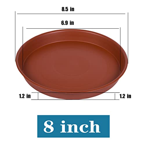 2 Pack of 8 inch Plant Saucer, Bird Bath Bowl 8 inch, Plant Dishes Saucer, Flower Plant Water Trays for Indoors, Plate for Planter 7-9" (8 inch, Terracotta) - size: 8" (2 pack)