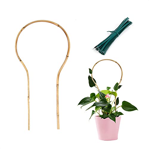 Cambaverd Small Plant Trellis, 16in Bamboo Trellises, 3 Pack Hoya Trellis