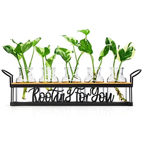 Plant Propagation Station "Rooting for You" Hydroponic Planter Vase | 5 Glass Propagation Jars with "Rooting for You" Metal Stand, Desktop Plant Holder for Cuttings, Plant Decor and Gifts - color: Black – 5 Tray Letter