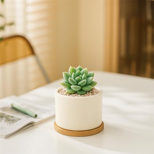 ZOUTOG 6 Pack 3.1" Ceramic Succulent Pots,White Planter with Drainage Tray - color: Bright White, size: 6 Pack