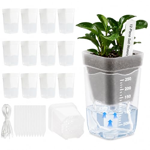12 Pack 2.5" Self Watering Seed Starter Cups, Clear Mini Planters for Indoor Plants, Help Prevent Overwatering, Promote Healthy Growth for Seedlings, Cuttings & Small Plants, with 12 Labels - color: 12pcs