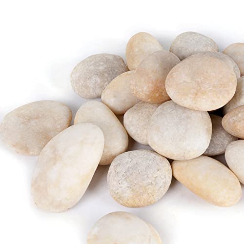 20LB Smooth Pebbles River Rocks, 100% Natural Hand-Picked Premium Decorative Pebbles, Ideal for Garden Landscaping, Home Decor, Aquariums, Painting, Crafting and Gifts, Cream White - size: 20 Pounds, style: Cream White