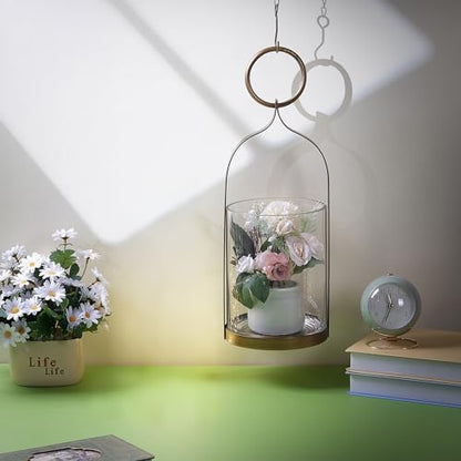 6" Wide Handmade Sturdy Glass Cylinder Jar with Metal Stand in Antique Brass, Display Glass Container for Candles and Plants, Hurricane Lantern, Candle Holder, Industrial, Farmhouse, Outdoor - size: 6"