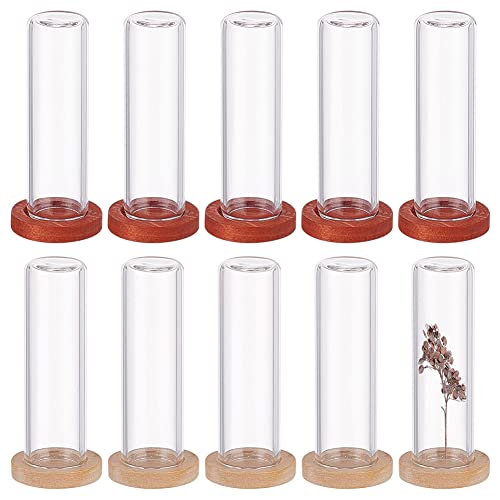 NBEADS 10 Sets Mini Cloche with Base, 1.57x0.47 Mini Eternal Flower Glass Cloche Clear Glass Display Case Flat Top Bell Jar Cloche for Centerpieces Plants Rocks Specimens Decorations Crafts - size: 1.69x0.47"(Flat top)