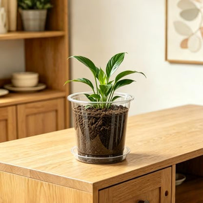 4/5/6/7 Inch 40 Pack Clear Plastic Nursery Pots with Drainage and Saucer | nursery pots, pots with drainage,seedling pots,Plastic Plant Pot,Flower Pots,large nursery pots,clear plant pots - size: 4/5/6/7inch 40pack