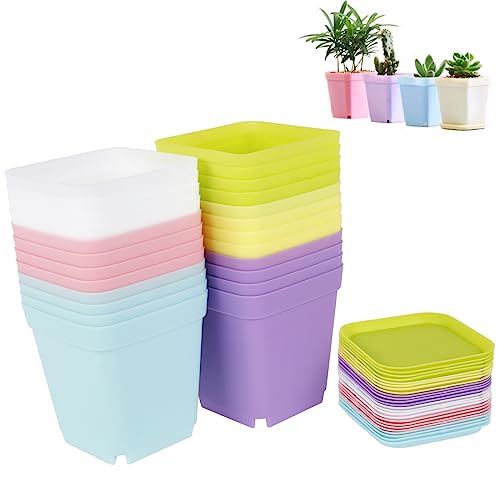 24pcs Small Plant Pots with Tray Plastic Square Flower Pots Colorful Flower Nursery Seedling Pots Outdoor Indoor Planter Container for Room Office Garden Decor
