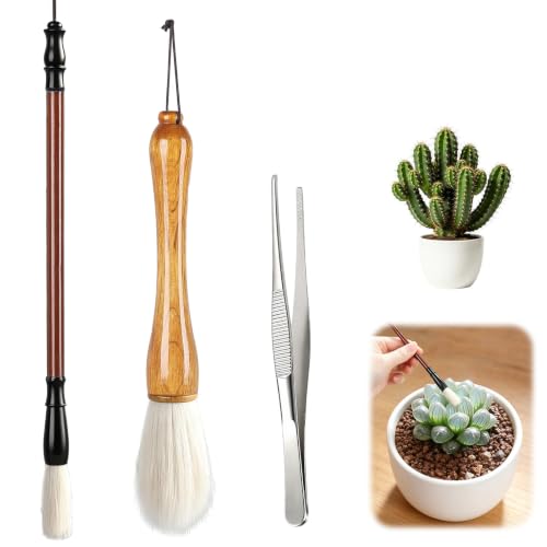 3 Pcs Cactus Plants Cleaning Brushes 11.2" & 8.6" Sizes Wooden Handles Soft Bristles Stainless Steel Garden Steel Garden Cleaning Tools Set for Succulents & Cactus Plant Care and Maintenance