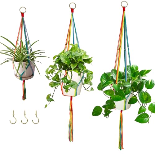 Rainbow Macrame Plant Hangers Indoor Outdoor, 3 Pack Different Size Flower Pot Holder Hanging Plant Holder for Windows Garden Boho Home Decor - color: Rainbow Colors