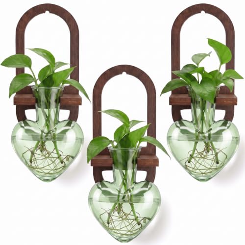 Hushee 3 Pcs Plant Terrarium Propagation Stations with Wooden Stand Heart Glass Vases for Indoor Hydroponics Home Garden Office Decoration Gift for Women