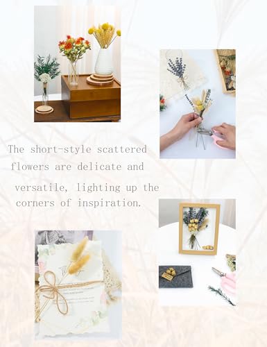 xin's convey DIY Natural Dried Flower Set, Bulk Dried Flowers for Vase, Dried Flowers with Stems, Dried Roses, Mini Dried Flower Bouquets.(Brown) - color: Brown