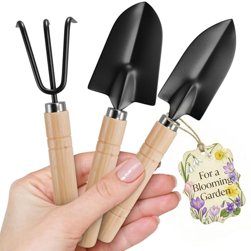 3 Pcs Mini Garden Tools, Shovel, Rake, Wooden Handles, Steel Heads | Small Gardening Tools Set, Tiny Trowel for Transplanting, Repotting and Planting, for Indoor Plants, Succulents and Bonsai - color: Black Set of 3