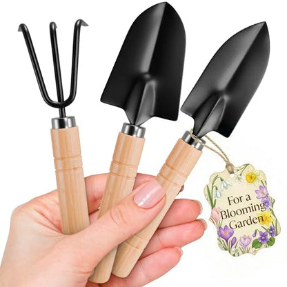 3 Pcs Mini Garden Tools, Shovel, Rake, Wooden Handles, Steel Heads | Small Gardening Tools Set, Tiny Trowel for Transplanting, Repotting and Planting, for Indoor Plants, Succulents and Bonsai - color: Black Set of 3