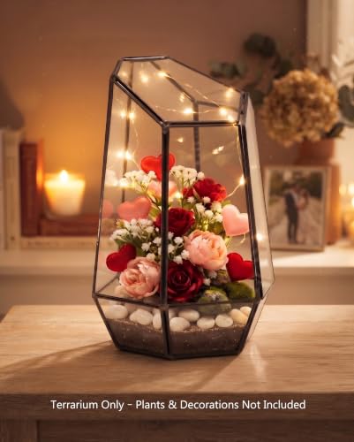 KRAFTSTORIES Geometric Glass Terrarium Planter with Door | Modern Style Black Container | Indoor Tabletop Home, Garden & Office Decor (Terrarium Only)