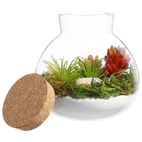 Cabilock Glass Terrarium Bottle with Cork Lid Round 15 cm Ecological Bottle for Micro Landscape Creations DIY Moss Plant Display Home Decor Accent Tabletop Storage Jar
