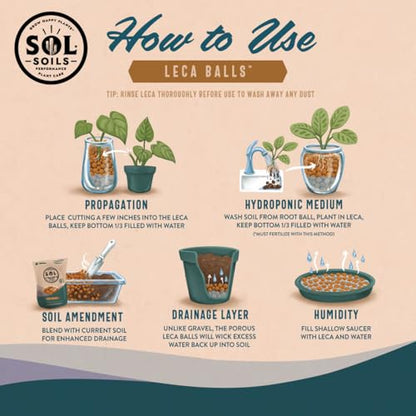 LECA Balls - Lightweight & 100% Natural Hydroponic Clay Pebbles for Plants - Soil Amendments to Improve Drainage, Aeration, and Support Healthy Root Growth - 2 Quarts
