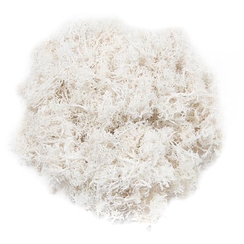 3.5oz Fake White Moss for Crafts - color: White