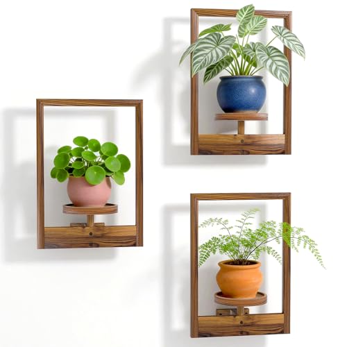 Hanging Planters for Indoor Plants Wood Plant Shelf Hold 22lbs Wall Planter