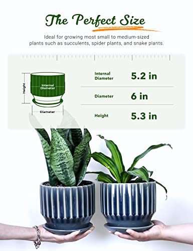 AISBUGUR Plant Pots 6 inch Ceramic Pots for Indoor Plants Set of 2 Flower Pots Unique Crackle Glaze Design Plant Pots with Drainage Hole and Saucer Come with Drainage Nets (Grey) - color: Gray