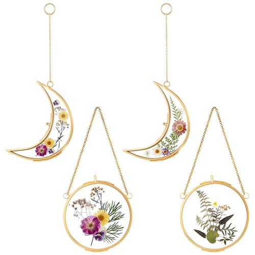 Qunclay 4 Pcs Pressed Flower Frames Bulk Double Glass Floating Hanging Photo Frame Sun Moon Clear Pressed Flower Decor with Chain for DIY Crafts Artwork Display Gallery(Gold,3.5 x 2.5 Inch) - color: Gold, size: 3.5 x 2.5 Inch