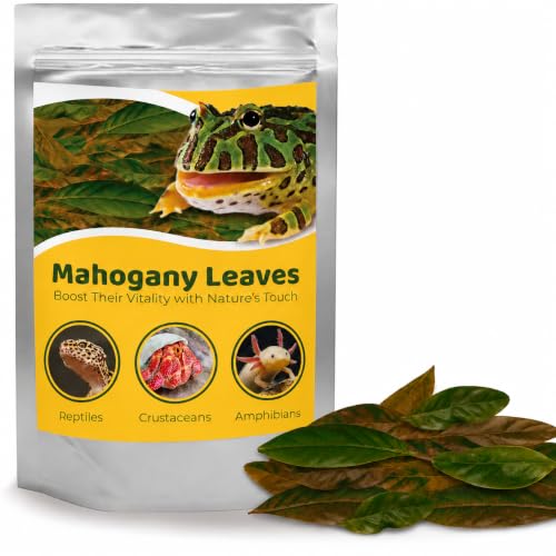 JOR Mahogany Leaves, Vivarium Leaf Litter for Frogs, Mixing with Substrate, Maintains Humidity and pH Levels, Creates Natural Bioactive Habitat, Additional Food (2” Small, 50 Pack, Mahogany Leaf)