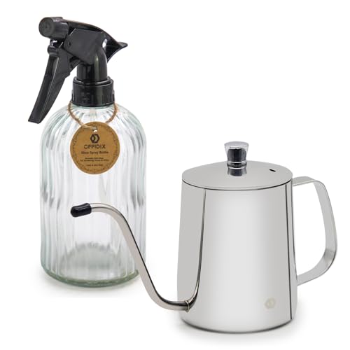 Watering Can for Indoor Plants, Silver Stainless Steel Watering Can 2 Pack | Long Spout Metal 21 oz Watering Can with 14 oz Glass Plant Mister Spray Bottle for Plant Bonsai Water Can for Inside Decor - color: Silver Watering Can + Clear Spray Bottle