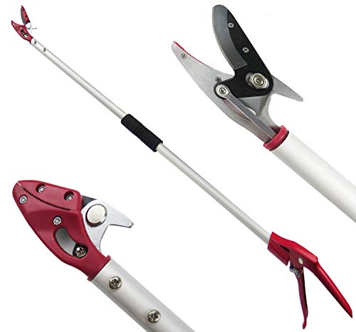 6FT Long Reach Pruner and Fruit Picker with Cut & Hold Feature, Lightweight 1.43lb Aluminum Pole with 90° Rotating Head, High Carbon Steel Sharp Blade, Ergonomic Tree Trimmer for High Branches - size: 6 Feet Cut and hold pruner