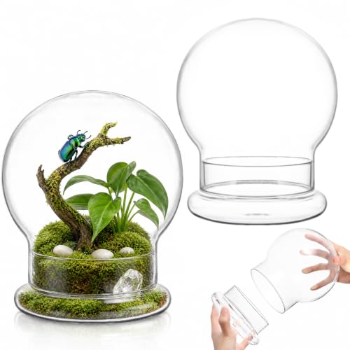 2 Pack Round Glass Cloche Domes with Air Hole and Base, 4.6 X 6.6 Inches Clear Terrarium Planter, Cloche Planters, Terrarium Bell Jar, Humidity Dome for Plants, Borosilicate Glass