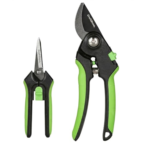 8" Bypass Plant Shears & 6.25" Advanced Garden Scissors Garden Hand Tools for Trimming Flowers Cutting Plants Gathering Fruit Garden Pruning Shears 2 Pack - color: Silver